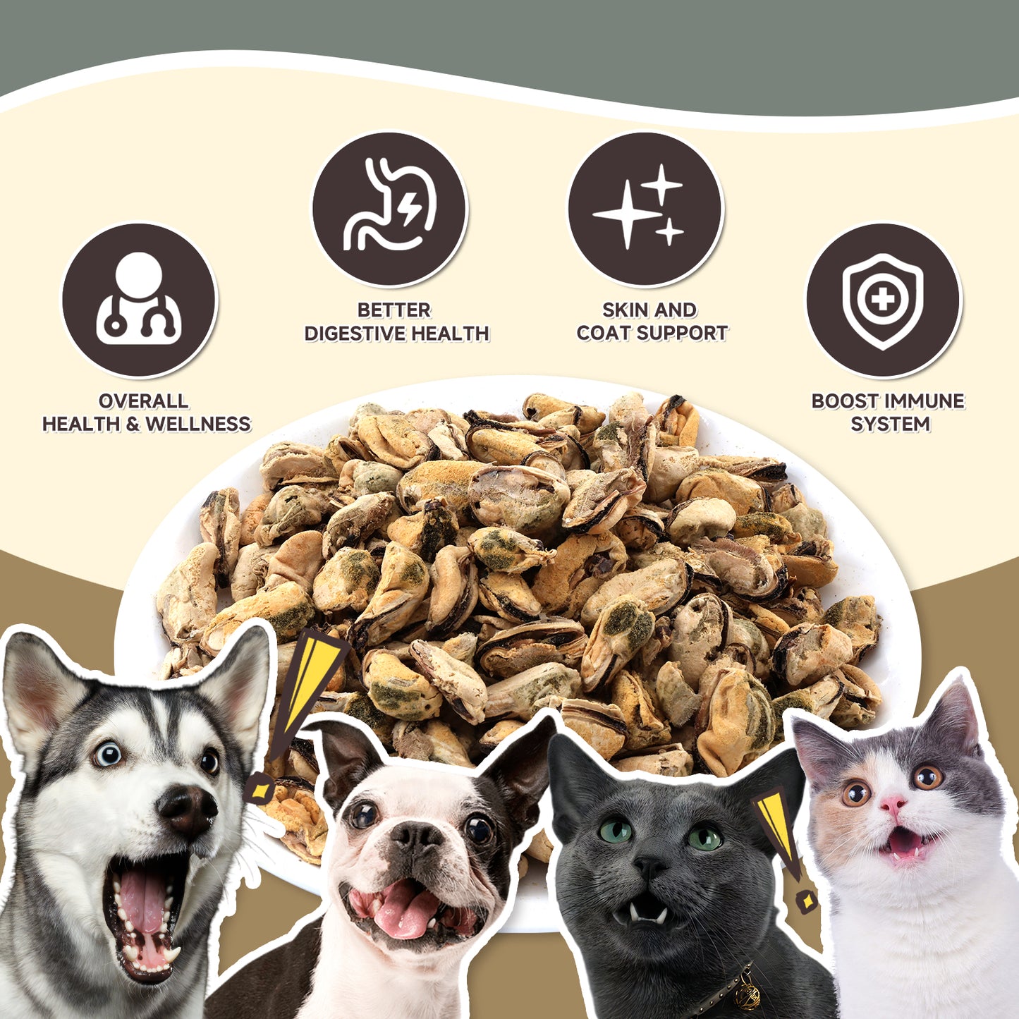 HUWZZE Freeze Dried Green Lipped Mussel Treats for Cats & Dogs, Single Ingredient All Natural Dog Treats Snacks-Human Grade Pet Food Perfect for Training 3.2 oz