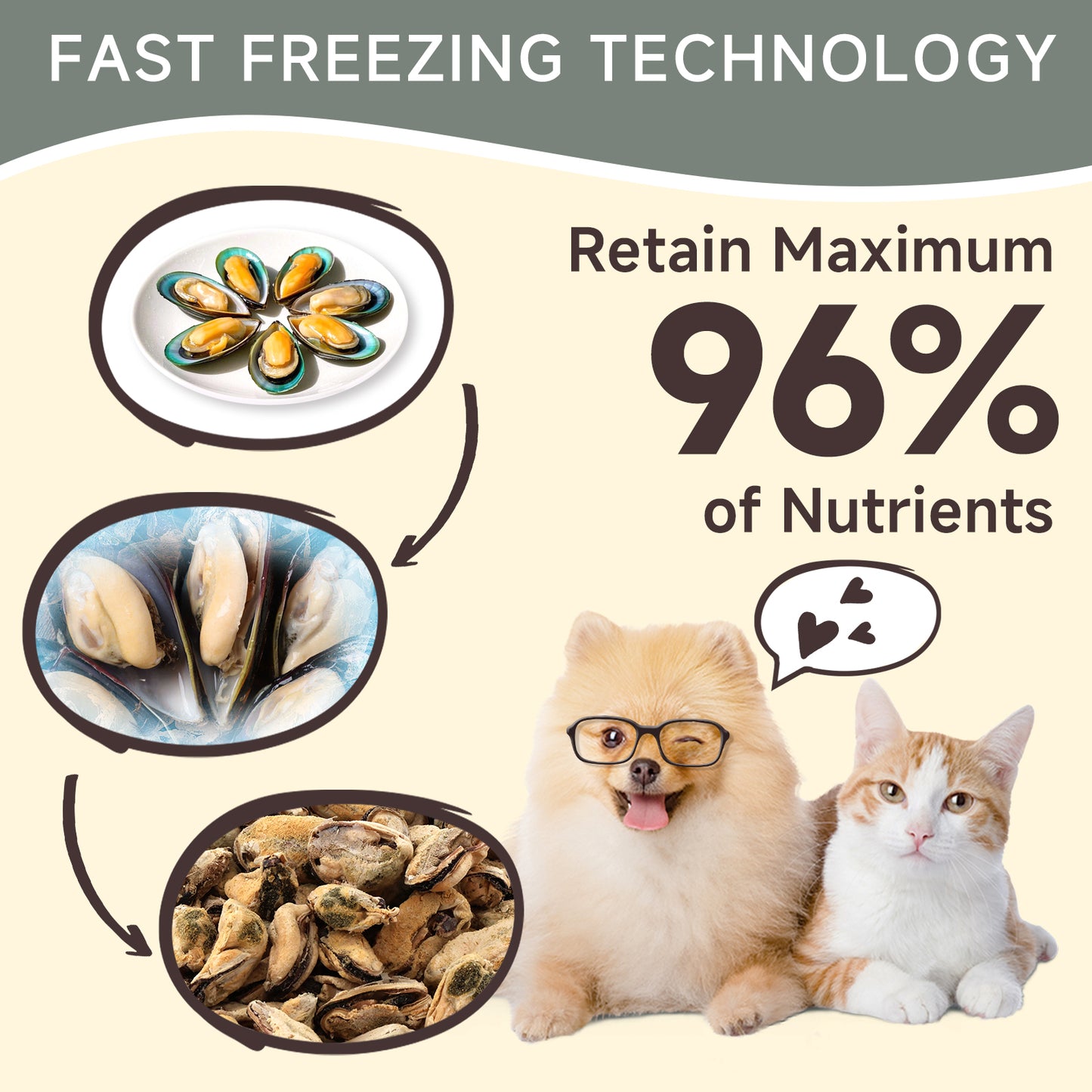 HUWZZE Freeze Dried Green Lipped Mussel Treats for Cats & Dogs, Single Ingredient All Natural Dog Treats Snacks-Human Grade Pet Food Perfect for Training 3.2 oz